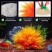 TAOMYPETS Orange Plastic Aquarium Plants | Coral Reef Ornaments for Fish Tanks - International Shipping Available - Buy Online on GoSupps.com
