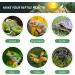 MIXJOY 100 Watt High Intensity Self-Ballasted UV/Heat Mercury Vapor Light Bulb UVA UVB Full Spectrum Sun Light for Reptile and Amphibian Use - Buy Online on GoSupps.com