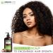 Arganicare Natural Macadamia Shampoo for Dry Damaged Hair | Hair Repair Treatment with Argan Oil & Shea Moisture | 13.5 fl oz - Hydrating & Nourishing Formula - Buy Online on GoSupps.com