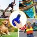 Dingfeiyu Hand Pipe & Stainless Steel Sports Whistles for Coaches Referees Dog Trainers Blue Trill Whistle for Football & Emergency Use - Buy Online on GoSupps.com