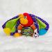 Nuby Teether Tugz Elephant - Soothing and Safe Teething Toy for Babies - Buy Online on GoSupps.com