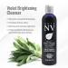 Violet Brightening Cleanser for Blonde Silver & Gray Hair - Prevent Brassy Tones | Sulfate & Paraben Free - 8.5 Oz - Buy Online on GoSupps.com