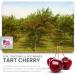 Buy German Micronized Creatine with USA Tart Cherry & Vitamin B6 - Caffeine-Free Pre/Post Workout Supplement for Men & Women | Tart Cherry Lime Flavor - Buy Online on GoSupps.com