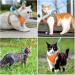 Escape-Proof Cat Harness and Leash Set - Reflective Vest for Small Cats | XXS Orange - Buy Online on GoSupps.com