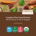 Buy Amazing Grass Protein Superfood Rich Chocolate 22.9 oz | Plant-Based Nutrition Online - Buy Online on GoSupps.com