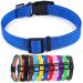 AMAGOOD Pet Essentials 40+ Colors and Size Classic Nylon Adjustable Dog/Cat Collars, for Puppy Small Medium Large Dogs and Cats Medium (Pack of 1) Blue