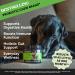 Pet Digestive Support Supplements (Dog Digestive Support (Duck - USA)) - Buy Online on GoSupps.com