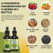 Go Nutrients Uriva - Uric Acid Support Supplement for Muscle & Joint Health - Gluten Free | 60ml Liquid Drops - Buy Online on GoSupps.com