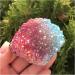 Natural Aura Red and Blue Stone Flower Electroplated Crystal Cluster forDecoration ZJGIDTEM 80-90g - Buy Online on GoSupps.com