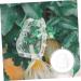 Yardenfun Fruit Shaping Mold Ginseng Cucumbers Multi-use Fruits Mold Vegetable Growing Mold Small Fruit Gourd - Buy Online on GoSupps.com