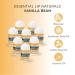 Lip Naturals Assorted Mini Lip Balm Pack with Sunscreen (SPF-15) - 12-Count Made in USA - Bing Cherry, Tea Tree Mint, Vanilla Bean Flavors - 0.10oz/3g Each - Buy Online on GoSupps.com