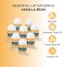 Lip Naturals Mini Lip Balm Pack with SPF-15 Sunscreen | 12-count Assorted with Keychain | Made in USA | Tea Tree Mint, Vanilla Bean, Bing Cherry Flavors (0.10oz/3g each) - Buy Online on GoSupps.com
