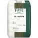 Fuchs Professional - Aneth | Id ales pour les sauces les plats de l gumes ou de poisson | Qualit professionnelle pour les gros consommateurs | 0 3 kg dans un sac