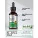 St Johns Wort Tincture - 2 Oz Alcohol-Free Liquid Extract by Horbaach - Buy Online on GoSupps.com