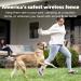 PetSafe Stay + Play Wireless Fence Receiver Collar for Dogs and Cats Waterproof and Rechargeable Tone and Static Stimulation Receiver Collar Only - Buy Online on GoSupps.com