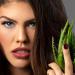 L Paige L23 Simply Red Lipstick - Aloe Vera Long-lasting & Moisturizing | International Shipping Available - Buy Online on GoSupps.com