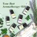 ASAKUKI Top 6 Essential Oils Set - 100% Natural Aromatherapy Oils for Diffusers, Humidifiers, Massage, Hair Care - Tea Tree, Lavender, Peppermint, Eucalyptus, Lemongrass, Sweet Orange 10ml - 6 Count Pack - Buy Online on GoSupps.com