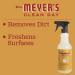 MRS. MEYER'S CLEAN DAY All-Purpose Cleaner Spray - Apple Cider 16 Fl Oz | Eco-Friendly Natural Cleaning Solutions for Home - Buy Online on GoSupps.com