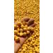 Japanese Garlic // Ajo Japones WT: 400 Pieces (510 GR) - Buy Online on GoSupps.com