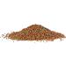 Aqueon Tropical Granules 6.5 oz - Premium Fish Food for Vibrant Tropical Fish - Buy Online on GoSupps.com