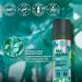 Yves Rocher Dry Shampoo Duo For Normal to Oily Hair | Invisible Powder | Restores Freshness & Volume | Silicone Free | Set of Two | Spray Bottle 150 ml each - Buy Online on GoSupps.com