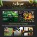 Vallesur Peruvian Premium Extra Virgin Olive Oil 1l - Hand-Picked & Cold Extracted - Fruity, Rich Flavor - Globally Awarded - High Polyphenol - 1L - Buy Online on GoSupps.com