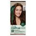 Clairol Root Touch-Up by Natural Instincts Permanent Hair Dye  5 Medium Brown Hair Color  Pack of 1 5 Medium Brown 2.72 Ounce (Pack of 1)