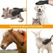 Byetoo Premium Fur Care Glove for Cats & Dogs - 3.0 Pet Brush for Short & Long Hair - Black Pet Grooming Accessory - Buy Online on GoSupps.com