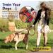 KODGE Dog Harness Medium UK | No Pull Soft Padded Adjustable Pet Harness | 5FT Dog Lead Included | Reflective Vest Harness for Comfort and Safety | Red | Medium Size - Buy Online on GoSupps.com