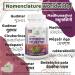 Ayushya Gymnema Sylvestre Capsules - 500mg Pure Extract (60 Capsules) - Buy Online on GoSupps.com