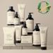 Loved01 Face & Body Exfoliating Cleanser John Legend Skincare Hydrating & Moisturizing Wash Helps Skin Irritation with Mandelic Acid for Gentle Exfoliation 6 oz 6 Fl Oz (Pack of 1) - Buy Online on GoSupps.com
