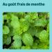 by Amazon Pastilles Nettoyantes Extra Fortes pour Proth ses Dentaires - Lot de 3 Bo tes de 30 Pastilles Menthe Fra che - Buy Online on GoSupps.com