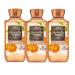 Generic Bath and Body Works Marshmallow Pumpkin Latte shower gel 10 oz. set of 3
