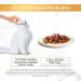 Gourmet Purina Gourmet Gold Tarte H ppchen in Sauce with Vegetables - 12-Pack Delicate Cat Snacks (85g Each) - International Shipping Available - Buy Online on GoSupps.com