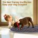 RundA 17'' x 21'' Snuffle Mat for Dogs - Interactive Feed Game for Natural Foraging and Stress Relief - Small/Medium/Large Dogs - Buy Online on GoSupps.com