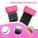 TDANCE Classic Flat Eyelash Extensions 0.15mm C Curl | 8-15mm Mixed Matte Individual Lashes for Salon Use - Buy Online on GoSupps.com