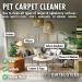 Dirtbusters Pet Carpet Cleaner Blackberry and Fig and Geranium and Chamomile 2x5 Litre Professional Carpet and Upholstery extraction shampoo solution cleaner with reactivating odour treatment. - Buy Online on GoSupps.com