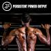 C4 Ultimate Non-Carbonated Zero Sugar Energy Drink Pre Workout Arctic Snow Cone 12 Fl Oz (Pack of 12) with Beta Alanine - Buy Now! - Buy Online on GoSupps.com