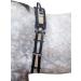 HKM horses lunging belt with a handle-belt for lunging made of particularly hard-wearing canvas material and breathe out of leather |Execution: Shetty (black-beige) Shetty black/beige