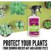 Aunt Fannies Houseplant & Garden Insect Spray 16.9 Fl Oz - Indoor/Outdoor Plants - Pack of 1 - Buy Online on GoSupps.com