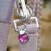Soulhorse Bridles & Lucky Charms for Horses | Pink Charm Keychain & Trailer Accessories - Buy Online on GoSupps.com