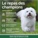 Nature's Protection Superior Care Dry Food for White Adult Dogs (Bichon Frise Maltese) Small and Miniature I Grain Free I White Fish 10 kg - Buy Online on GoSupps.com