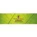 Buy W rzteufel Chlorophyll Extract - Pure Water-Soluble Alfalfa Extract from Germany | 40 ml | International Shipping Available - Buy Online on GoSupps.com