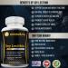 Soy Lecithin Capsules 1200mg - Immune Support Supplement | Brain & Heart Health | 100 Softgels, Made in USA - Non-GMO - Buy Online on GoSupps.com