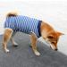 Luxury Dog Coat for Post-Op Recovery | Soft Cuddly Vest for Dogs & Cats | Blue (S) - Buy Online on GoSupps.com
