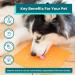 LickiMat X Large Buddy Dog Feeding Mat for Boredom and Anxiety Relief Ideal for Food Treats Yoghurt or Peanut Butter Fun Alternative to a Slow Feeder Dog Bowl Perfect for Large Breeds Turquoise - Buy Online on GoSupps.com