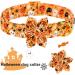 Aring Pet Dog Collar - Flower Halloween Design for Small to XL Dogs | Pumpkin Ghost Print Perfect Gift - Buy Online on GoSupps.com