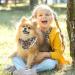 Stylish Triangular Dog Scarves - Multi-Coloured 2-Piece Set for Small Medium & Large Dogs and Cats - Buy Online on GoSupps.com