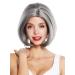 Shop WIG ME UP 1962-10A/88A Short Bob Wig - Grey Streaked Ladies' Wig with Curved Tips | International Shipping Available - Buy Online on GoSupps.com