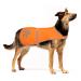 SPOFLY Dog Vest, Blaze Orange Hunting Vest, Safety Reflective Dog Jacket, Chaleco Reflectante para Perros, High Visibility and Safety from Hunters, Cars and Other (Blaze Orange, M) Blaze Orange Medium